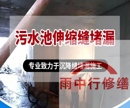 河南某污水处理厂钢筋混凝土池堵漏案例